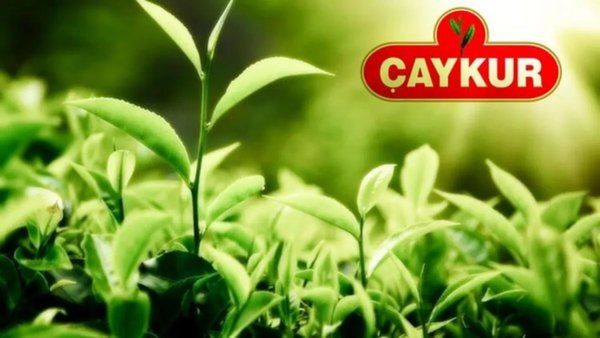 ÇAYKUR İlana Çıktı! 1365 İşçi Alınacak! İkametgâh Şartı Yok!