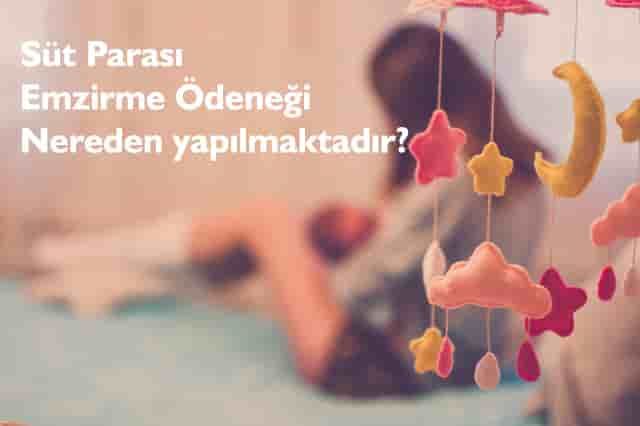 Süt Parası Başvurusu Nasıl Yapılır? Emzirme Ödeneği Sorgula