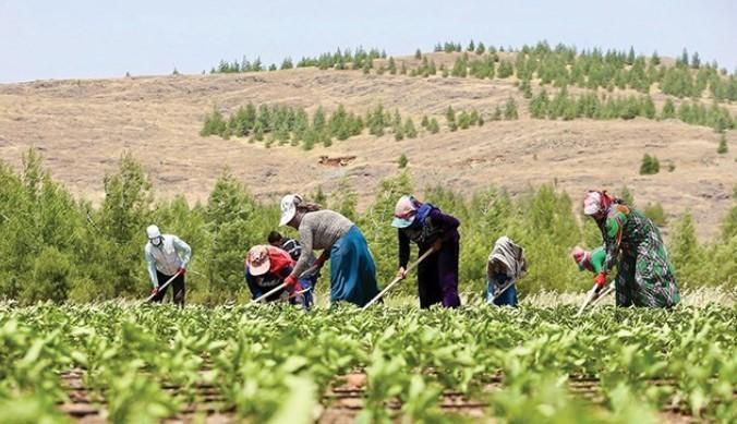 Çiftçilere MÜJDE! Bakan Açıkladı! O Ödemeler Bugün Hesaplara Yatıyor!
