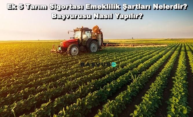 Ek 5 Tarım Sigortası Emeklilik Şartları Nelerdir? Başvurusu Nasıl Yapılır?
