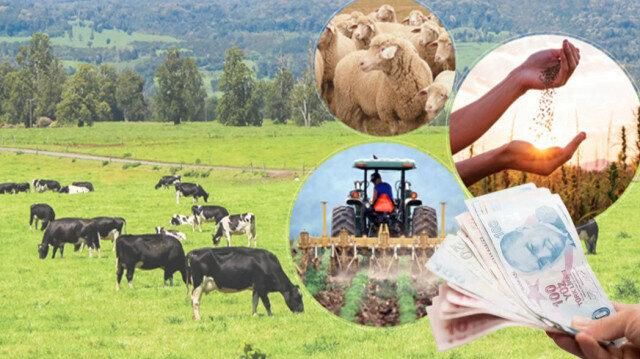 Deprem Bölgesinde Hayvanını Kaybeden Herkesi İlgilendiriyor! Tarım ve Orman Bakanlığı, Çiftçilerin Beklediği Kararı Verdi! Tüm Hayvanlar İçin Duyuru Yapıldı!