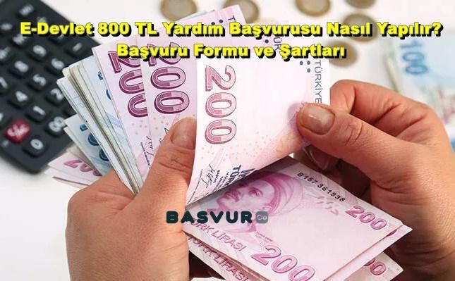 E-Devlet 800 TL Yardım Başvurusu Nasıl Yapılır? Başvuru Formu ve Şartları