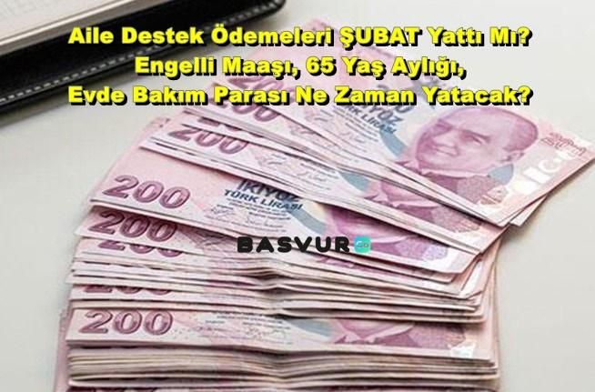 Aile Destek Ödemeleri ŞUBAT Yattı Mı? Engelli Maaşı, 65 Yaş Aylığı, Evde Bakım Parası Ne Zaman Yatacak?