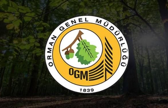 Orman Genel Müdürlüğü Personel Alımı SAĞLAYACAK! 2023 OGM Başvuru İle İlgili TÜM DETAYLAR!