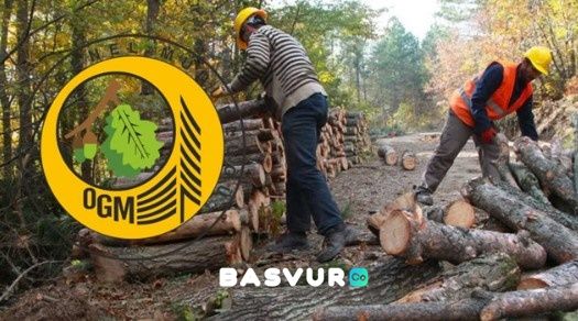 2023 OGM Daimi İşçi ve Orman Muhafaza Memuru Alımı YAPACAK! Başvuru İle İlgili Tüm Detaylı Bilgiler!