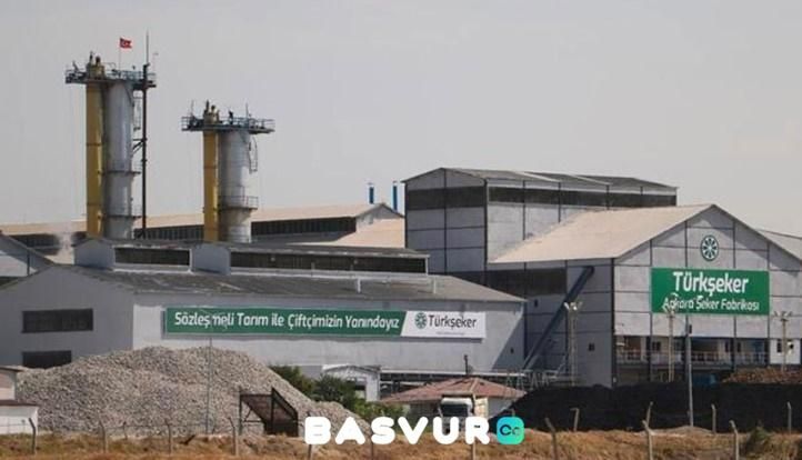 Türkiye Şeker Fabrikaları Genel Müdürlüğü Tarafından Devlet Memuru Alımı Başvuruları Başlıyor! Başvuru İle İlgili DETAYLAR!