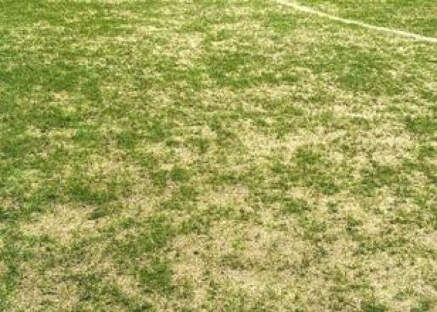 Trendyol Süper Lig Statlarında Zemin Problemleri