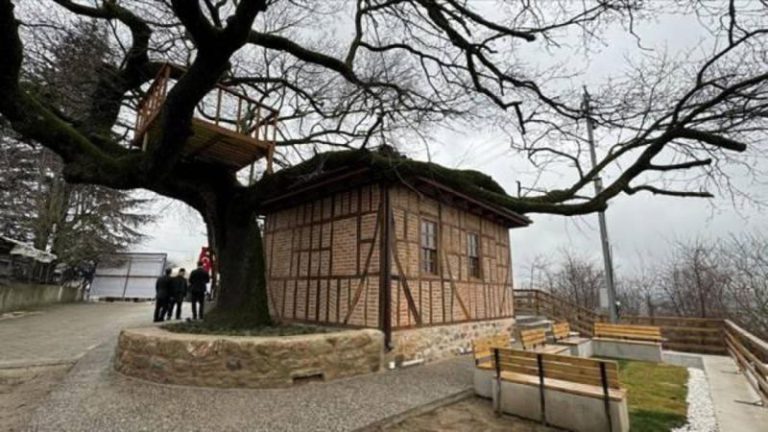 Altınova İlçesinde Restorasyonu Tamamlanan Mescidin Açılışı Yapıldı