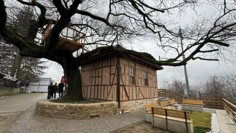 Altınova İlçesinde Restorasyonu Tamamlanan Mescidin Açılışı Yapıldı
