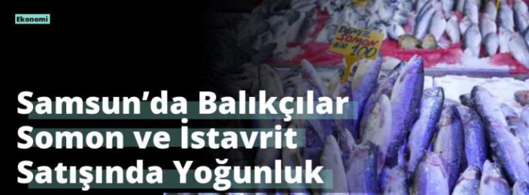 Samsun’da Balıkçılar Somon ve İstavrit Satışında Yoğunluk Yaşıyor