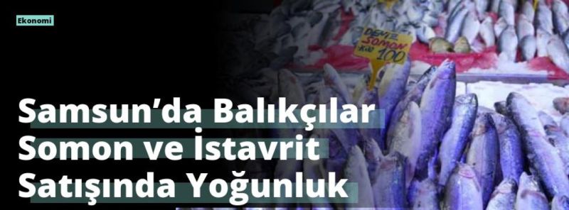 Samsun’da Balıkçılar Somon ve İstavrit Satışında Yoğunluk Yaşıyor