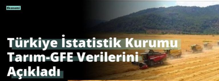 Türkiye İstatistik Kurumu Tarım-GFE Verilerini Açıkladı