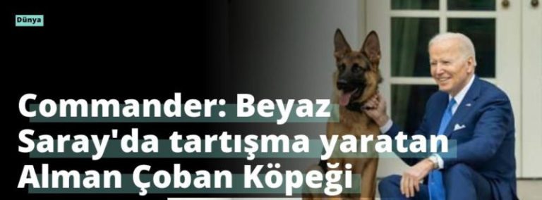 Commander: Beyaz Saray’da tartışma yaratan Alman Çoban Köpeği