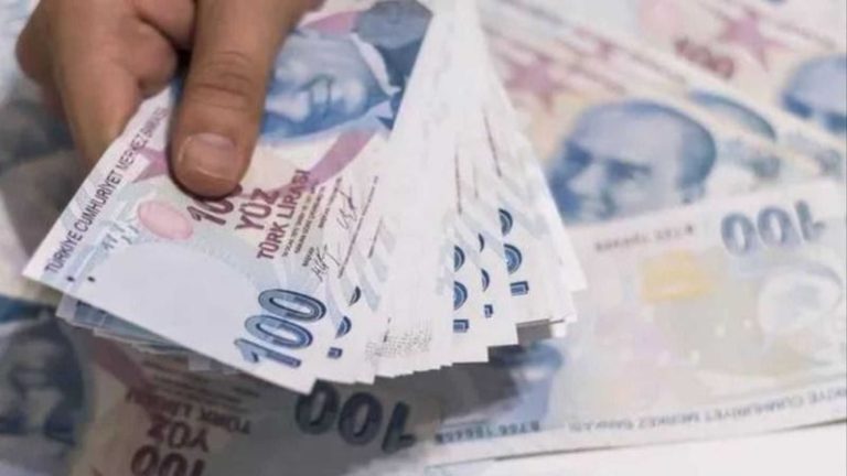 2023 Temmuz Aile Destek Ödemesi Ayın Kaçında Yatacak? Aile Destek Ödemesi Sorgulama Ekranı