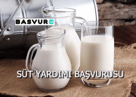 SÜT Yardım Başvurusu Nasıl Yapılır?