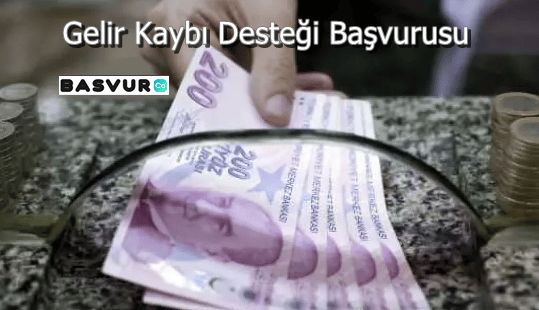 Gelir Kaybı Desteği Başvurusu