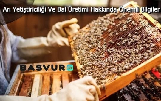 Arı Yetiştiriciliği Ve Bal Üretimi Hakkında Önemli Bilgiler
