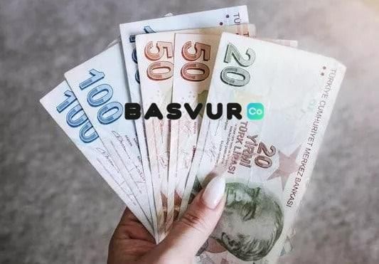 Sanal Portal E-Devlet Başvurusu – Başvuru Formu