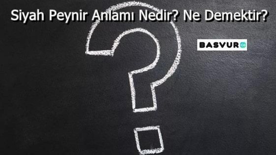 Siyah Peynir Anlamı Nedir? Ne Demektir? Argo Ne Anlama Gelmektedir?