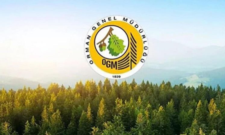 Kamuda Çalışmak İsteyene Müjde! OGM 1613 Personel Alacak