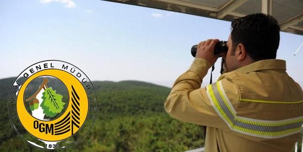 OGM ve MEB Bünyesinde Çok Sayıda Memur Alımı Yapılacak! Kamuya 1178 Personel Alımı Yapılması Gündemde! İşte Detaylar…