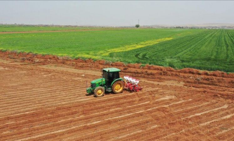 Beklenen Müjdeyi Bakan Kirişçi Verdi! O Paralar Hesaplara Geçmeye Başladı! Çok Sayıda Vatandaş Yararlanacak!