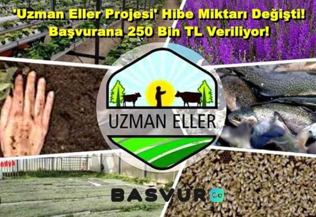 ‘Uzman Eller Projesi’ Hibe Miktarı Değişti! Başvurana 250 Bin TL Veriliyor!