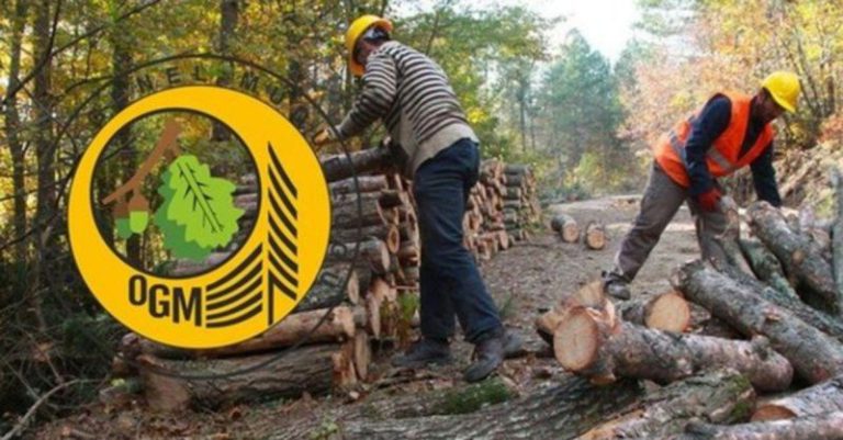 Orman Genel Müdürlüğü KPSS Puanı İle Orman Muhafaza Memurları Alacak!