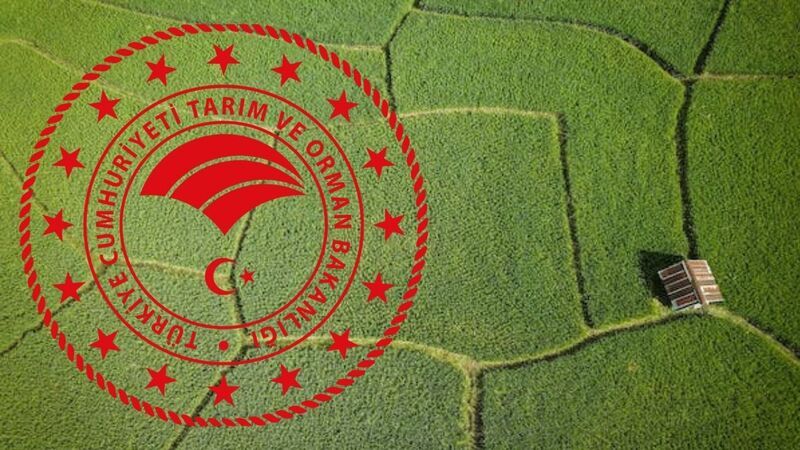 TARIM ORMAN BAKANLIĞI KPSS ŞARTSIZ 7 BİN 158 PERSONEL ALIMI 2023 BAŞVURU