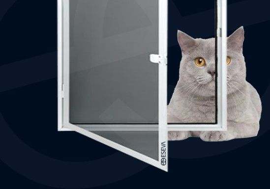 Eseva’dan Bursa Kedi Sineklik Seçenekleri