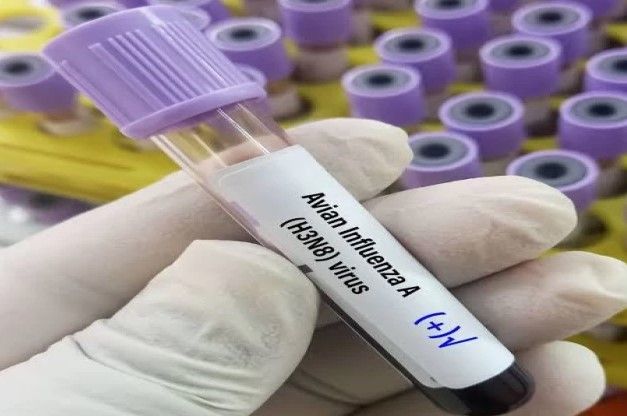 Dünyada Kuş Gribi Kaynaklı İlk İnsan Ölümü Gerçekleşti: Pandemi Geri Mi Geliyor?