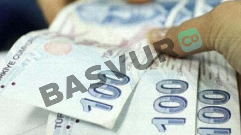 E-Devlet Okul Yardımı Parası Başvurusu Nasıl Yapılır? 2023