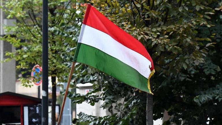 Macaristan’da Asgari Ücret Ne Kadar 2024? Çalışma Şartları, İş İmkânları