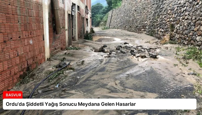 Ordu’da Şiddetli Yağış Sonucu Meydana Gelen Hasarlar