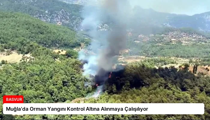 Muğla’da Orman Yangını Kontrol Altına Alınmaya Çalışılıyor