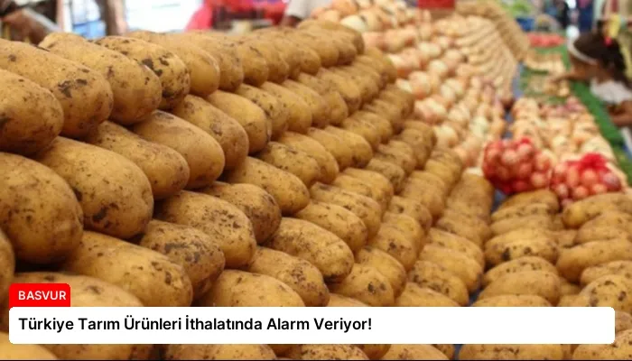 Türkiye Tarım Ürünleri İthalatında Alarm Veriyor!