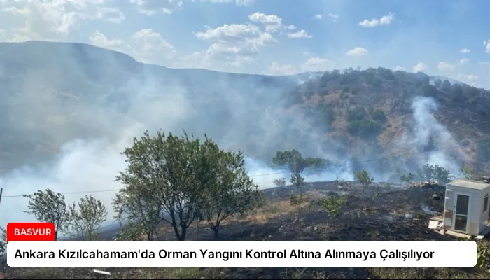 Ankara Kızılcahamam’da Orman Yangını Kontrol Altına Alınmaya Çalışılıyor