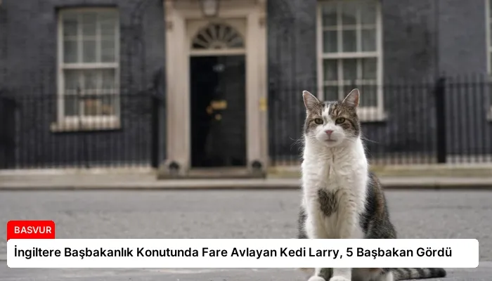 İngiltere Başbakanlık Konutunda Fare Avlayan Kedi Larry, 5 Başbakan Gördü