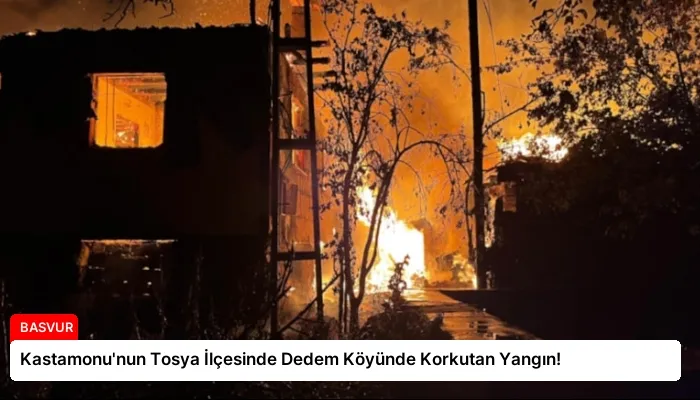 Kastamonu’nun Tosya İlçesinde Dedem Köyünde Korkutan Yangın!
