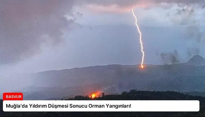 Muğla’da Yıldırım Düşmesi Sonucu Orman Yangınları!