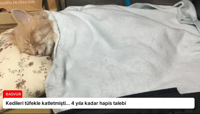 Kedileri tüfekle katletmişti… 4 yıla kadar hapis talebi