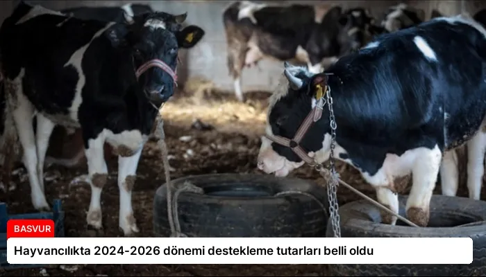 Hayvancılıkta 2024-2026 dönemi destekleme tutarları belli oldu