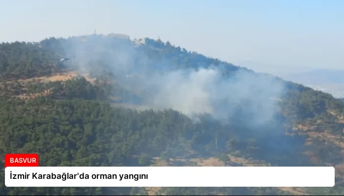 İzmir Karabağlar’da orman yangını