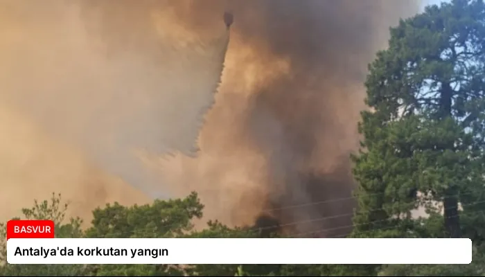 Antalya’da korkutan yangın