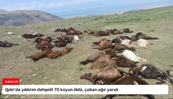 Iğdır’da yıldırım dehşeti! 70 koyun öldü, çoban ağır yaralı