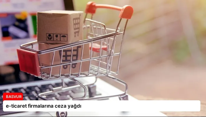 e-ticaret firmalarına ceza yağdı