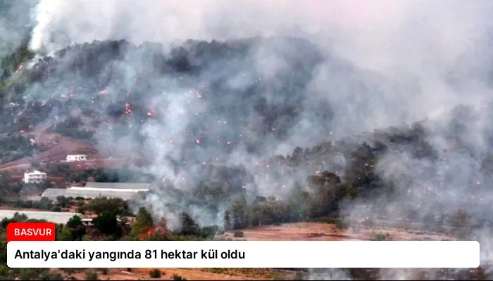 Antalya’daki yangında 81 hektar kül oldu