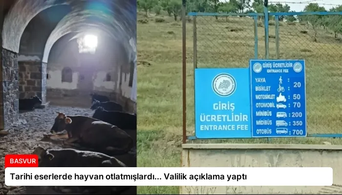 Tarihi eserlerde hayvan otlatmışlardı… Valilik açıklama yaptı