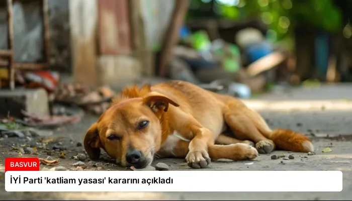 İYİ Parti ‘katliam yasası’ kararını açıkladı
