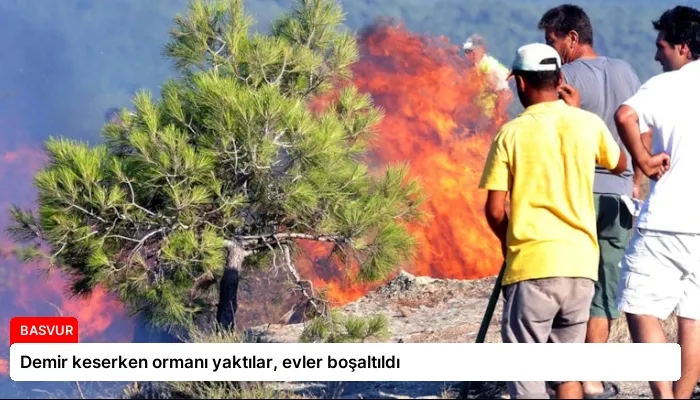 Demir keserken ormanı yaktılar, evler boşaltıldı